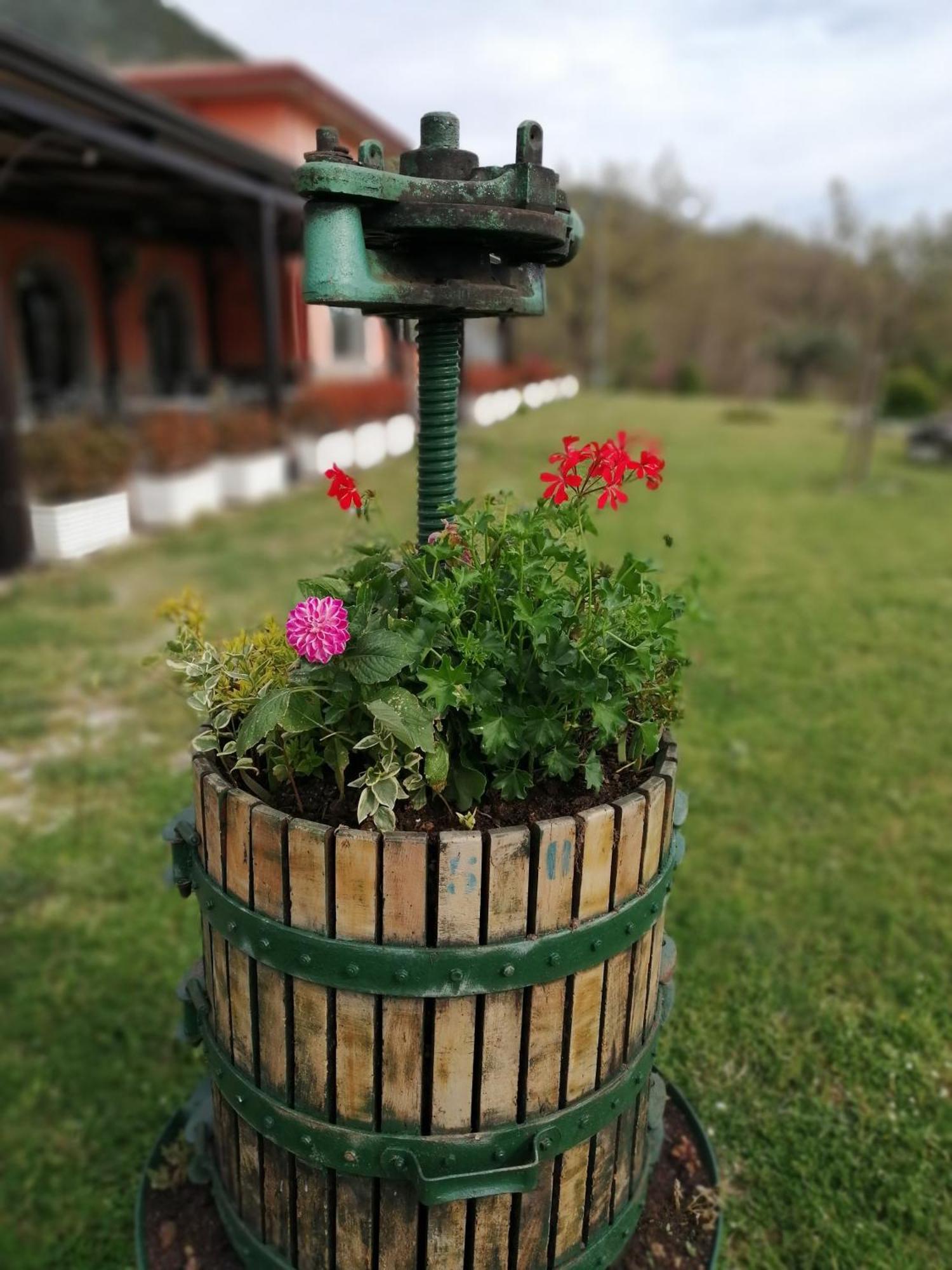 Salisu Country House Mignano Monte Lungo 외부 사진